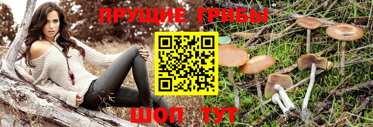 Коркино  Галлюциногенные грибы GOLDEN TEACHER  Вход с VPN  Галлюциногенные грибы мухоморы 