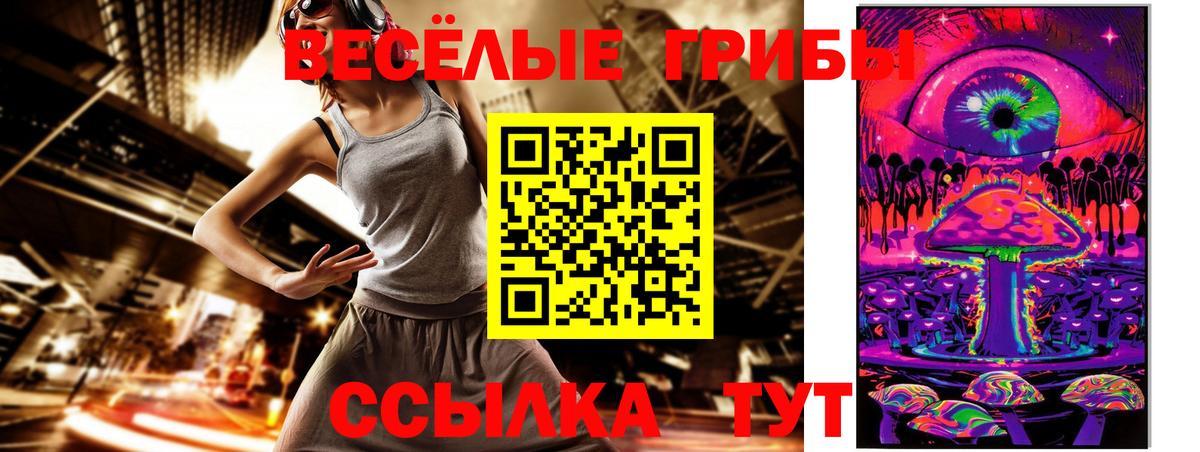 Галлюциногенные грибы Psilocybe Коркино